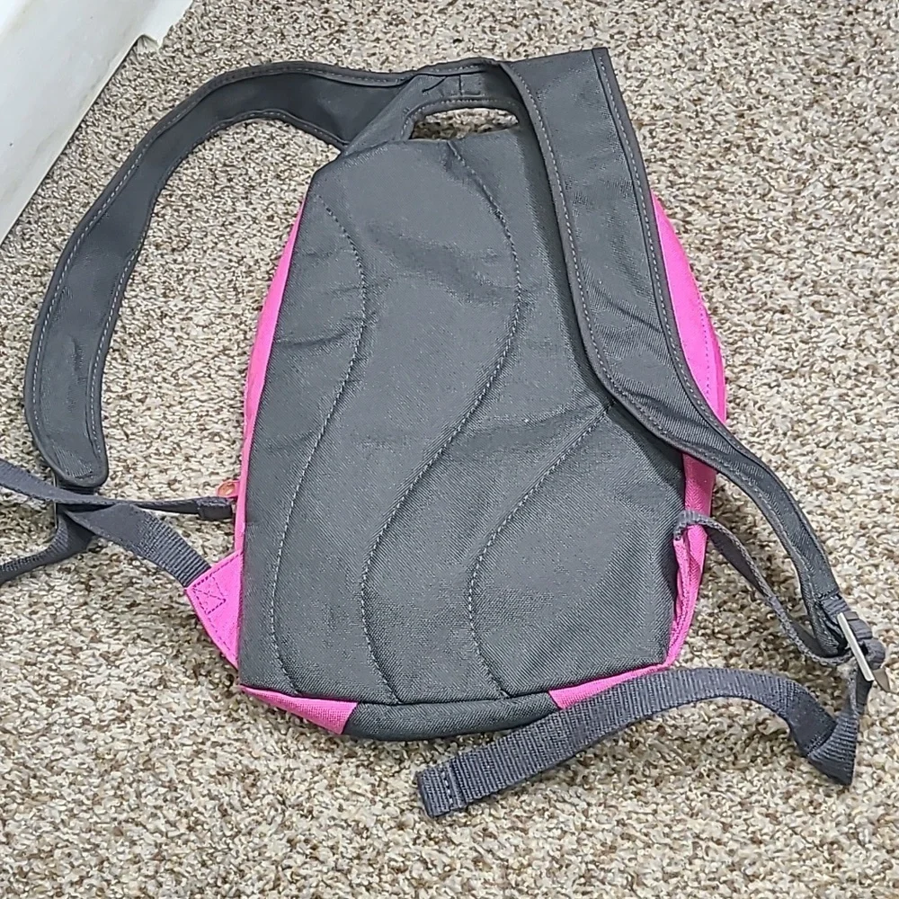 Dakine Charcoal and Fuchsia Backpack